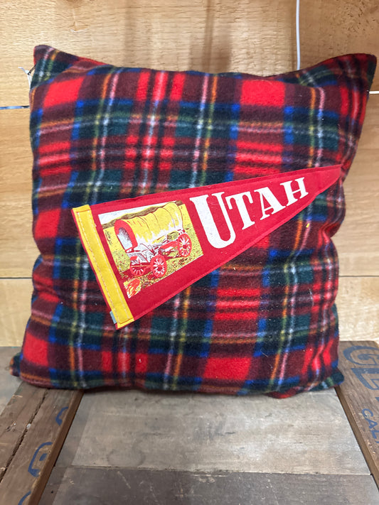 The Varsity Revival Pennant Pillow