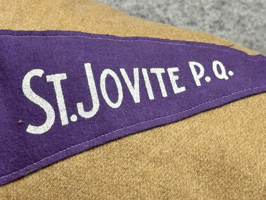 St. Jovite Vintage Pennant Pillow