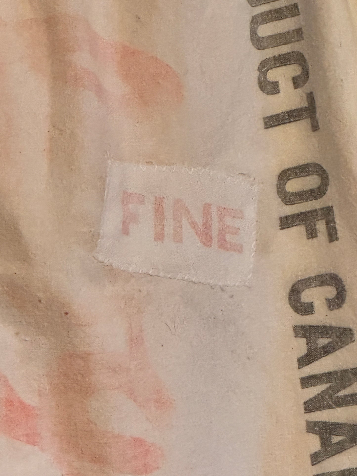 The Fine Print Shorts